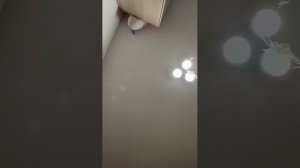 выполняю задания