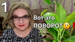 Вот это ПОВОРОТ😲❗️