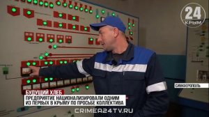 Больше 500 тонн пшеницы в сутки перерабатывает один из заводов в Симферополе