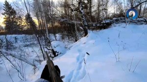 ЭТО БЫЛ ТОЧНО МОЙ ЗАЯЦ