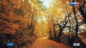 8.07 – Вести утро от 21.11.2025г.