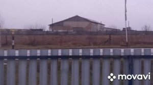 купили пирог снова