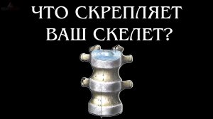 Гибкие соединения, которые есть у каждого. Что о них важно знать?