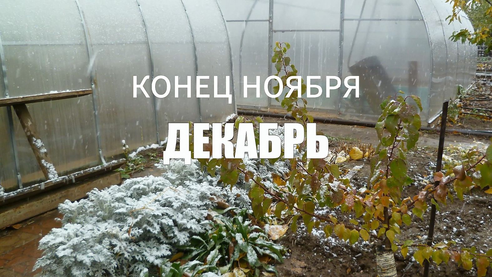 12. Календарь дачника. Конец ноября ДЕКАБРЬ