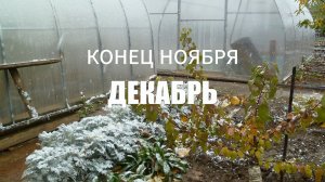 12. Календарь дачника. Конец ноября ДЕКАБРЬ