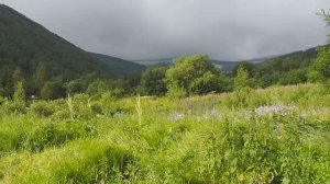 Тропа к Ивановским озёрам (Хакасия).