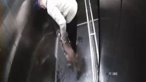 ‼️В Одинцово мужчина жестоко избил свою собаку в лифте‼️