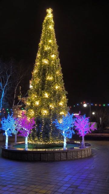 Белгород, посёлок дубовое показал такую вечернюю красоту, как украсили к новому году.