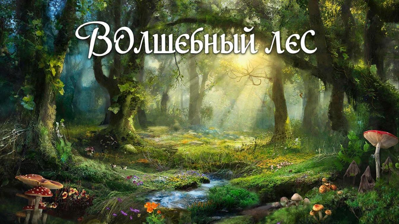 Волшебный лес