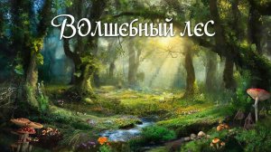 Волшебный лес