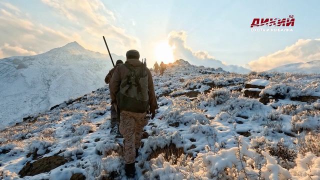 Охота в провинции Семнан. Вторая серия