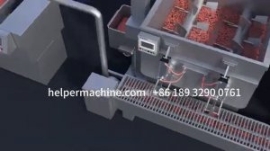 Линия для приготовления pet food кормов