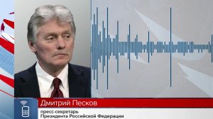 Россия официально ничего не получала от США по мирному плану, сообщили в Кремле