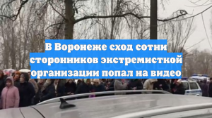 В Воронеже сход сотни сторонников экстремисткой организации попал на видео