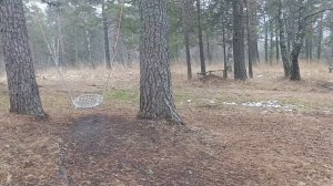 9. Смотровая площадка биатлонно-лыжного учебно-тренировочного комплекса «Курташ». 16 ноября 2025 год