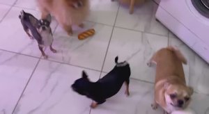 Сегодня утро начинаем с адыгеечки.