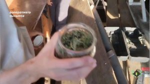 Тҟәарчал инхо ауаҩы ирацәаны арҩышьыгатә маҭәашьар идырбалеит.