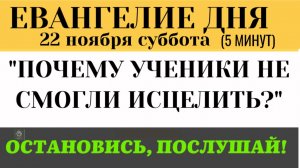 Евангелие дня Почему ученики не смогли исцелить бесноватого (Лк 9- 37-43)