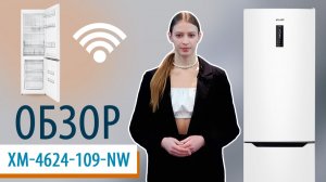 Обзор холодильника с Wi-fi ХМ-4624-109-NW