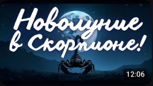 Какие Процессы Запустит в Вашей Жизни НОВОЛУНИЕ В СКОРПИОНЕ Прогноз Для Каждого Знака Таро Онлайн