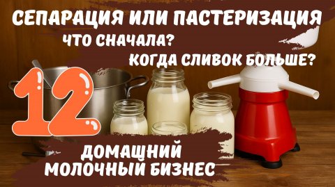 Сепарация или пастеризация? Что сначала? Домашний молочный бизнес ч.12