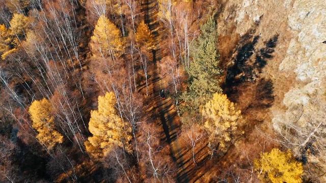 Поездка в порт Байкал (BLACKTORS)