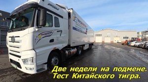 Две недели на подмене. Тест китайского тигра 🐯.