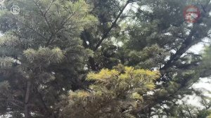 ☀️ Выходные в Приморье: погода без сюрпризов и резких перемен