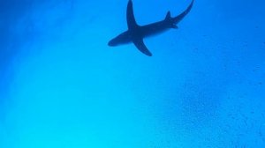 2025 г._Я ещё молодой...