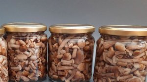 Новогодний салат АППЕТИТНЫЙ с опятами