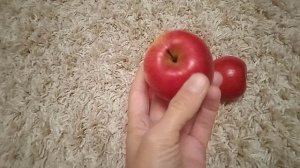 Зимний сорт яблок Беркутовка: хранение в погребе