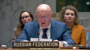 Заявления постпреда России в ООН Василия Небензи на заседании Совбеза по Украине: