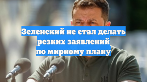 Зеленский не стал делать резких заявлений по мирному плану