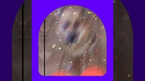 1000040816.mp4 (Собака смотрит на монтаж э/проводки (техн. уст. э/розеток, э/выкл.) в доме А-фрем)