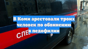 В Коми арестовали троих человек по обвинению в педофилии