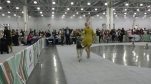 Моншер Вирсаль Югория