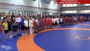 Воля к победе