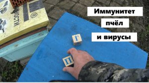 Иммунитет и вирусы пчёл
