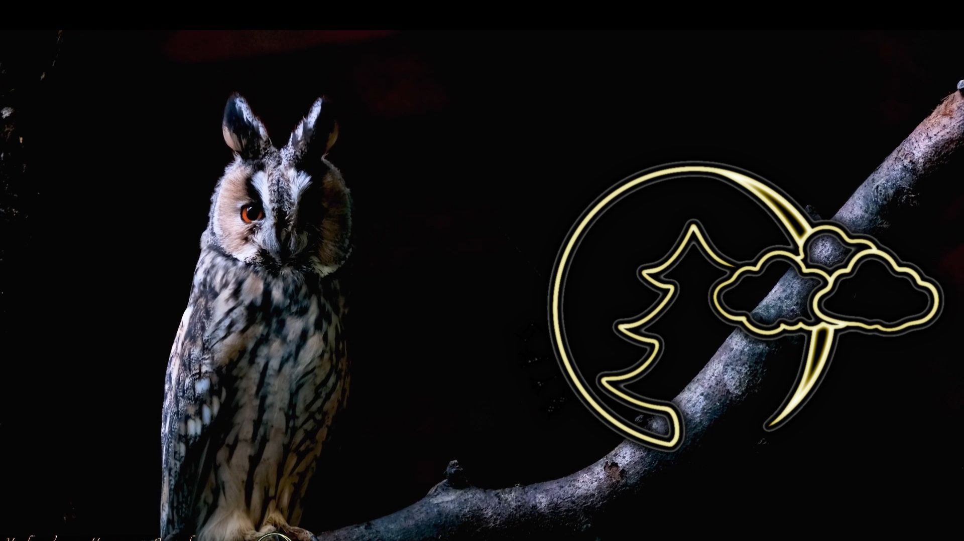 🎹КРАСИВАЯ РАССЛАБЛЯЮЩАЯ РОМАНТИЧЕСКАЯ МУЗЫКА ПИАНИНО МУЗЫКА ДЛЯ СНА СПОКОЙНАЯ МУЗЫКА, RELAX MUSIC