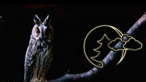 🎹КРАСИВАЯ РАССЛАБЛЯЮЩАЯ РОМАНТИЧЕСКАЯ МУЗЫКА ПИАНИНО МУЗЫКА ДЛЯ СНА СПОКОЙНАЯ МУЗЫКА, RELAX MUSIC