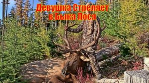 Девушка Стреляет в Быка Лося