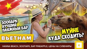 #6 ВЬЕТНАМ МУЙНЕ КУДА СХОДИТЬ: ПЛЯЖНЫЙ КЛУБ С ЗООПАРКОМ, БАР НА ПЛЯЖЕ, РЕСТОРАН, ЦЕНЫ НА СУВЕНИРЫ
