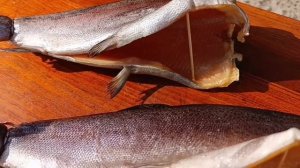 Форель тушка провесная