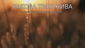 --КАКОВА ТВОЯ НИВА -- НОВАЯ ХРИСТИАНСКАЯ ПЕСНЯ 2025