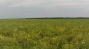 Архив. Велопоездка с детьми. Июль 2025 г.