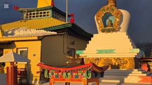 Прогноз на 2026 год Коня по годам рождения