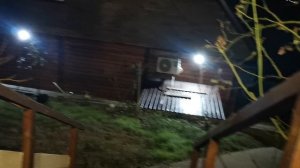 СОЧИ ГОРНОЕ ЛОО УТРО 22.11.2925