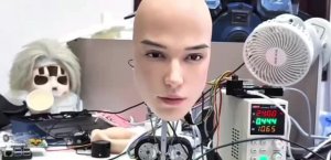 Подпишись 👉 https://kamennyi-zver.ru/