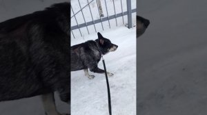 на прогулке