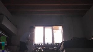 пародия на клипа Алекса и Стива Minecraft Зомби.mp4